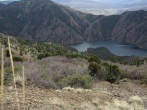 Curecanti National Recreation Area Morrow Point Lake Trail