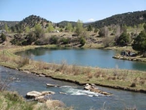 Ridgway State Park Pond Fishing