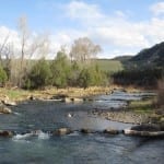 Ridgway State Park Uncompahgre River