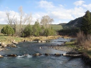 Ridgway State Park Uncompahgre River