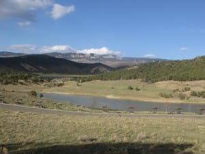 Ridgway State Park Picnic Area