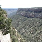 Mesa Verde Navajo Canyon