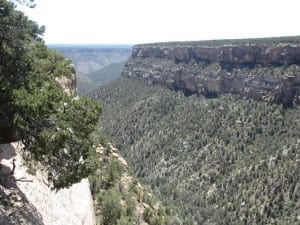 Mesa Verde Navajo Canyon