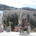 Telluride CO Oak