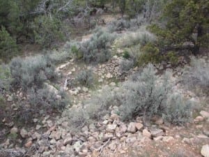 Canyons Ancients Sand Pueblo