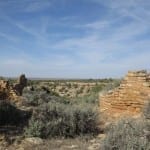 Hovenweep National Monument Hackberry