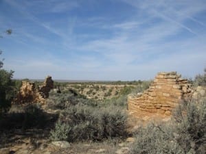 Hovenweep National Monument Hackberry