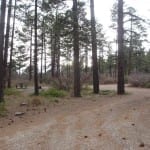 Mancos State Park West Campground