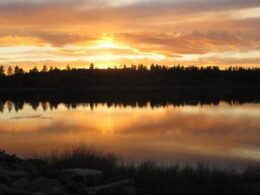 Mancos State Park