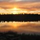 Mancos State Park