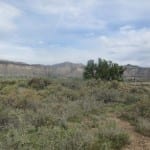 Yucca House National Monument
