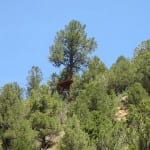 Zip Line Tour Durango