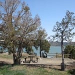 Navajo State Park Campsite