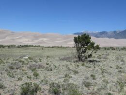 Great Sand Dunes National Park