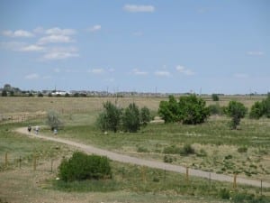 Chatfield State Park Dog Off Leash Area