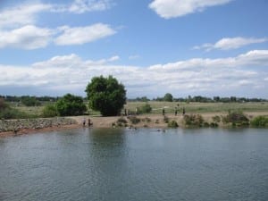 Chatfield Dog Park Pond