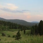 Golden Gate Canyon State Park Grassy Field