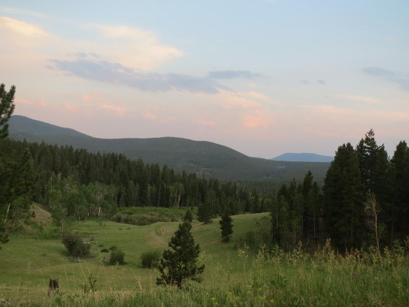 Golden Gate Canyon State Park Grassy Field