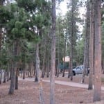 Golden Gate Canyon State Park Campgrounds