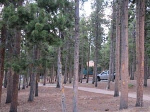 Golden Gate Canyon State Park Campgrounds