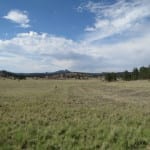 Florissant Fossil Beds Hiking
