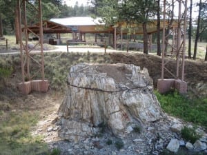 Florissant Fossil Beds