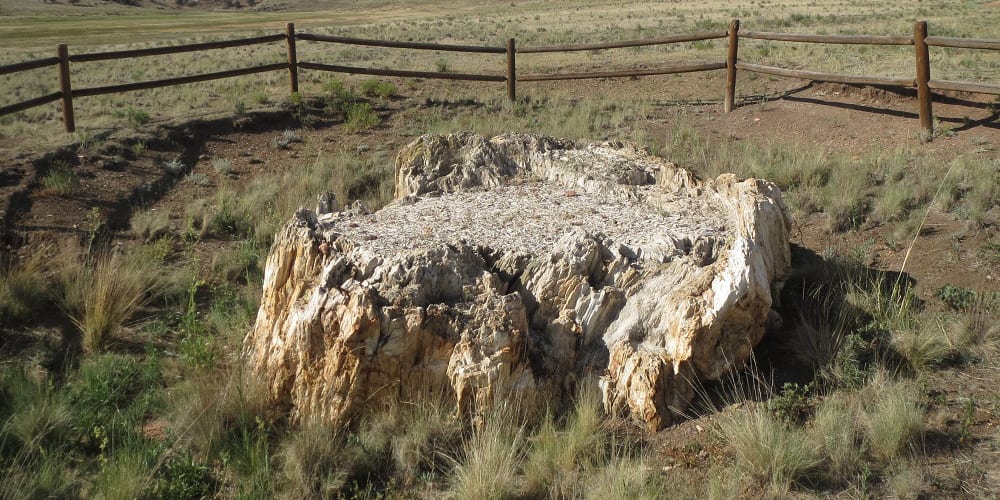 Florissant Fossil Beds National Monument