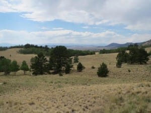 Pike National Forest Arkansas River Valley