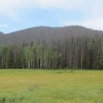 Rocky Mountain National Park
