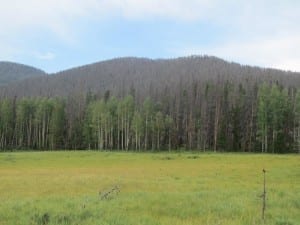 Rocky Mountain National Park