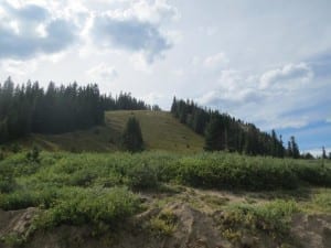 Arapaho National Forest Berthoud Pass