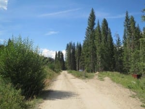 Arapaho National Forest Idlewild Campground