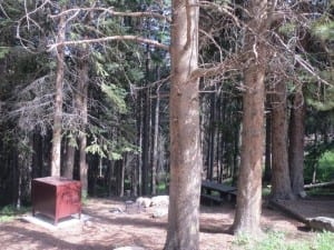 Arapaho National Forest Idlewild Campsite