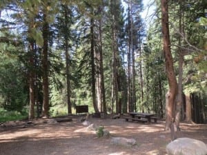 Arapaho National Forest Idlewild Campsite