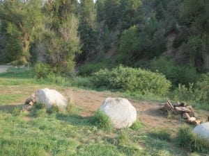 Radium Hot Springs Camping