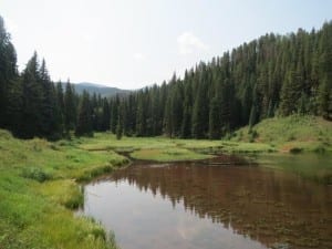 Sylvan Lake State Park Wetlands