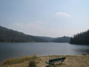 Pearl Lake State Park Bench