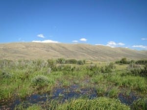 Arapaho Wildlife Refuge Marshes