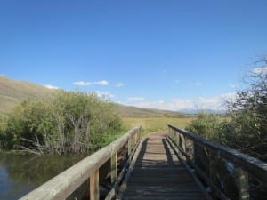 Arapaho Wildlife Refuge Bridge