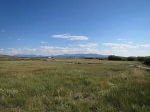 Arapaho Wildlife Refuge Meadows