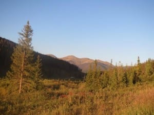 State Forest State Park Marshes