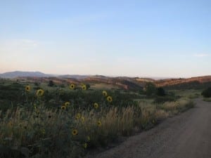 Lory State Park Prairie Landscape