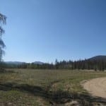 Roosevelt National Forest Gould