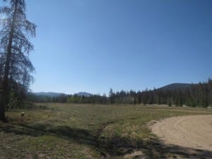 Roosevelt National Forest Gould