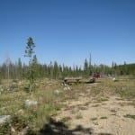 Roosevelt National Forest Pines Campground