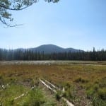 Roosevelt National Forest Lily Lake