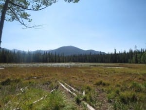 Roosevelt National Forest Lily Lake