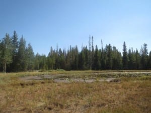 Roosevelt National Forest Lily Lake