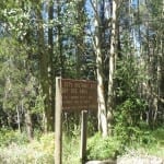 Roosevelt National Forest Teller City