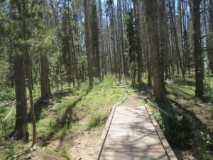 State Forest State Park Mountain View Nature Trail